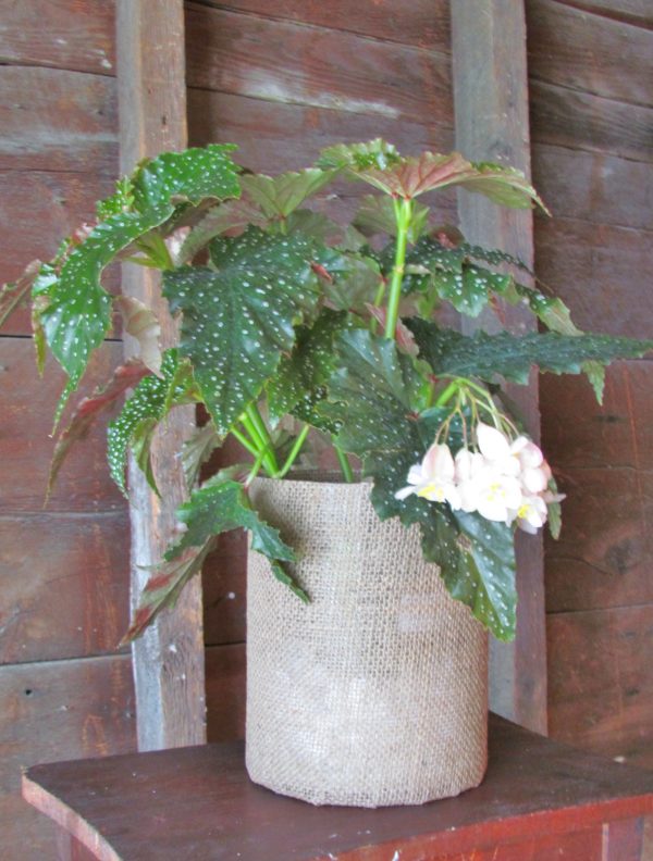 Burlap Vase - Image 2