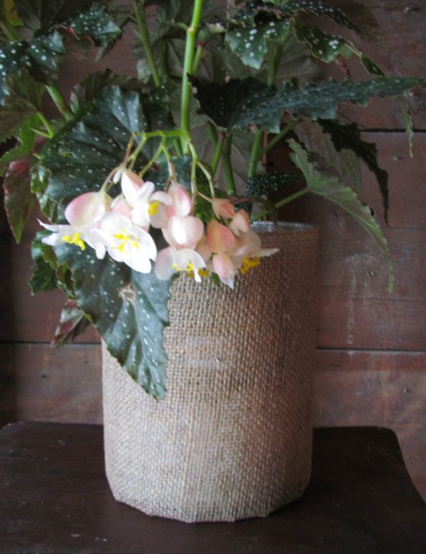 Burlap Vase - Image 4