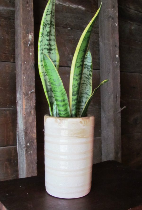 Ceramic Drum Vase