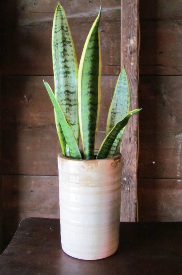 Ceramic Drum Vase - Image 3